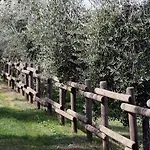 Romitorio Di Castiglione Del