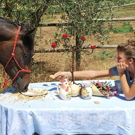 Romitorio Di Castiglione Del Hétvégi ház