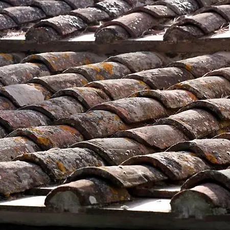 Romitorio Di Castiglione Del *