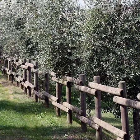 Romitorio Di Castiglione Del