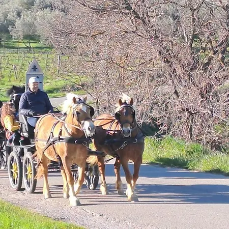 Country house Romitorio Di Castiglione Del