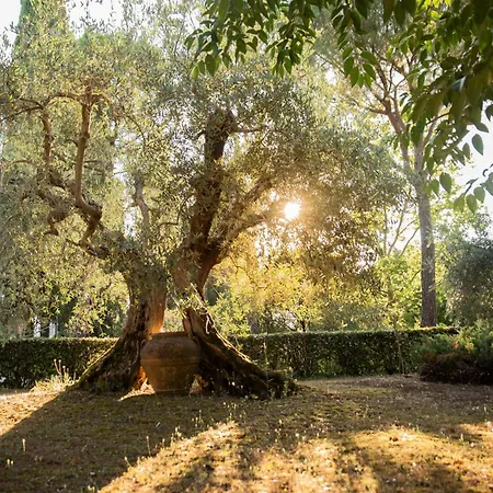 Romitorio Di Castiglione Del * Castiglione del Lago