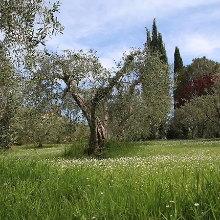 Romitorio Di Castiglione Del Country house