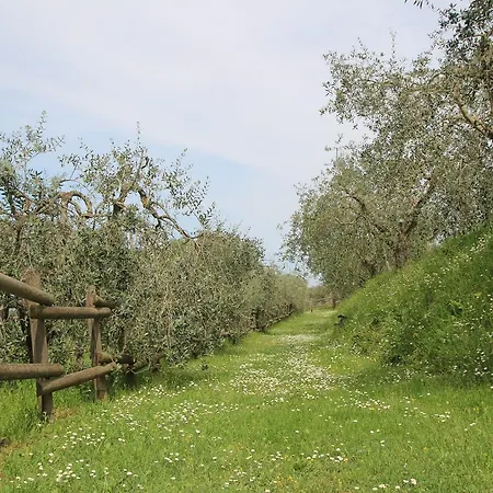 Romitorio Di Castiglione Del