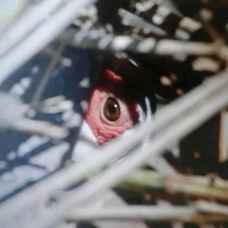 Hétvégi ház Romitorio Di Castiglione Del *