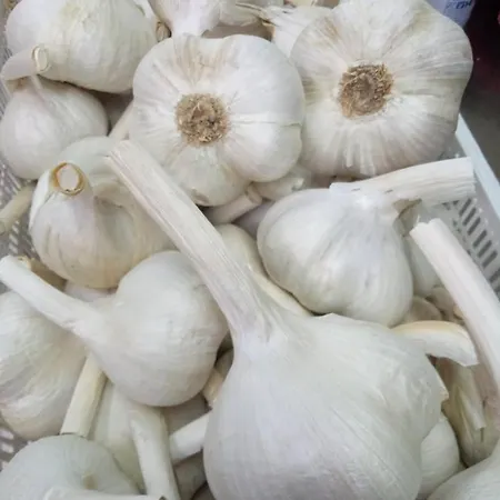 Romitorio Di Castiglione Del